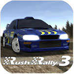 拉力竞速3破解版(Rush Rally 3)