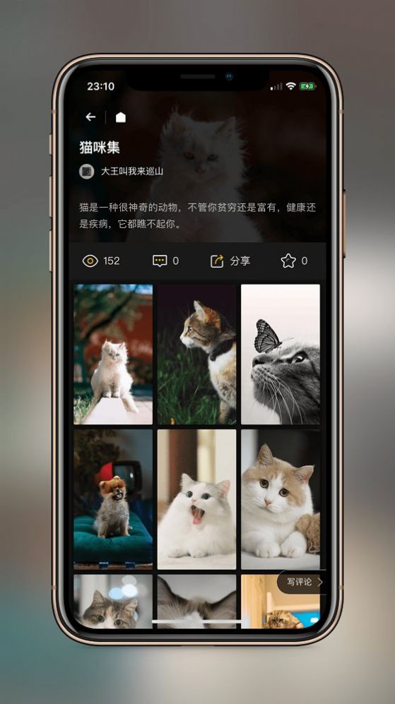 纸塘壁纸