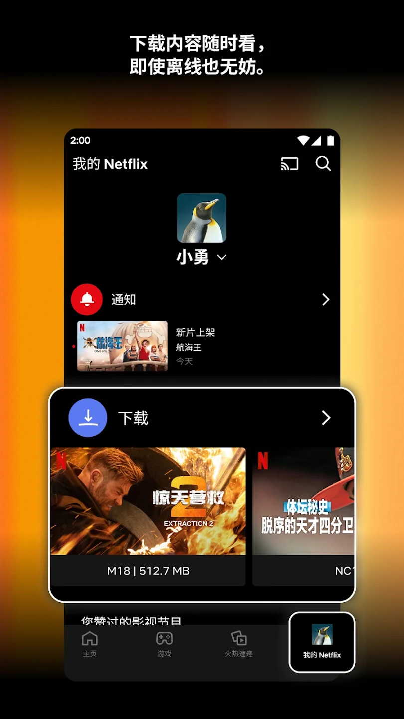 网飞netflix