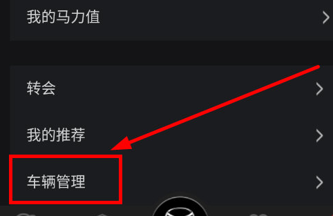 悦马星空