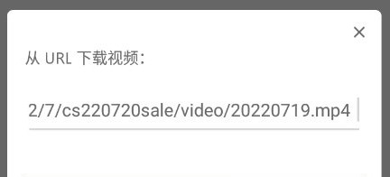 Realplayer安卓版