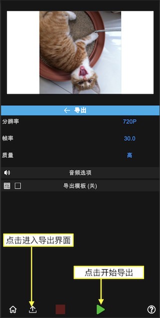 NV剪辑