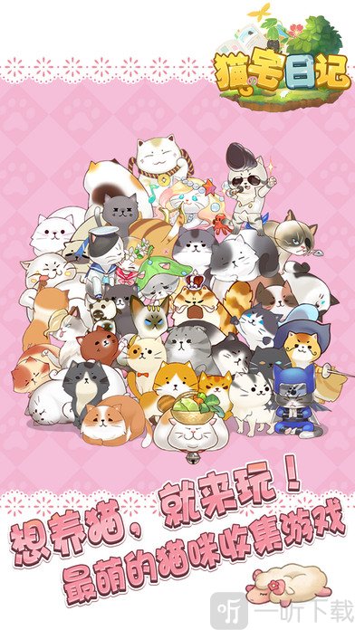 猫宅日记