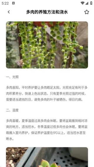 花朵物语时光
