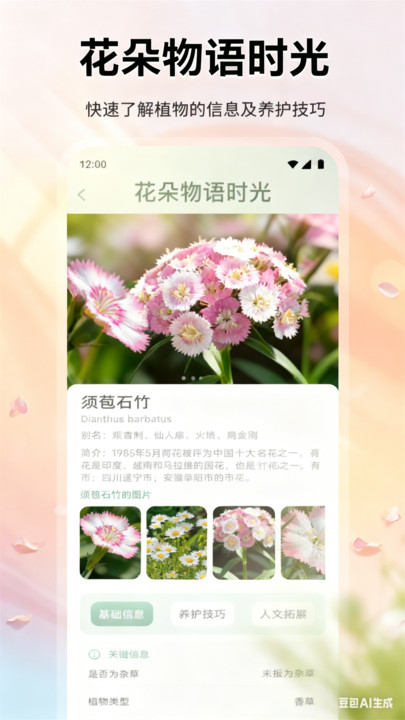 花朵物语时光