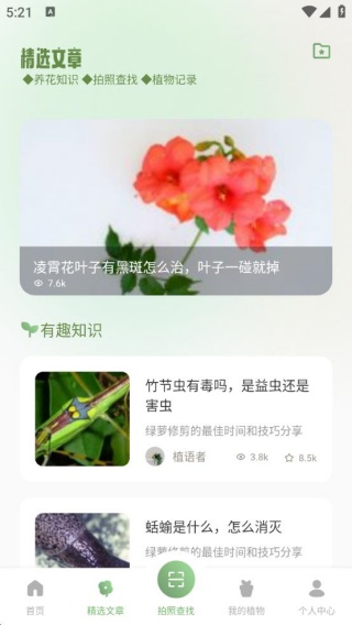 花朵物语时光