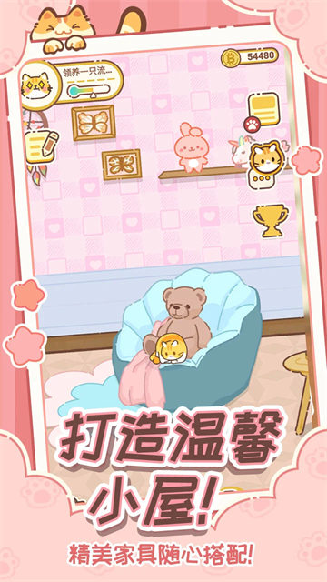 领养一只流浪猫