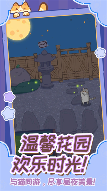领养一只流浪猫