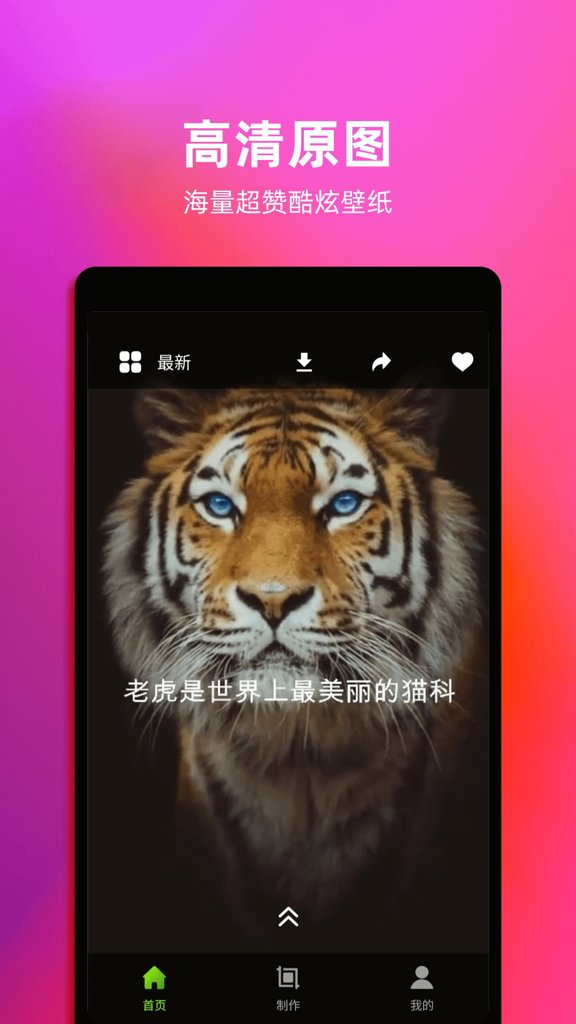 元气桌面壁纸