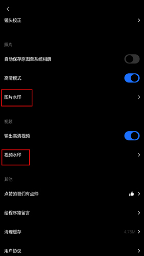 型男相机(Cam Homme)