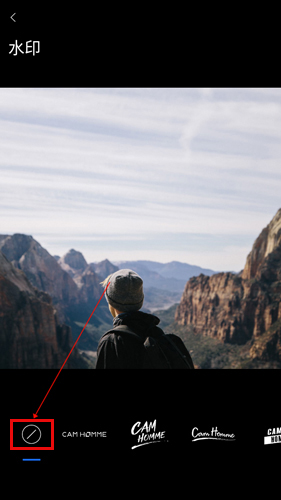 型男相机(Cam Homme)