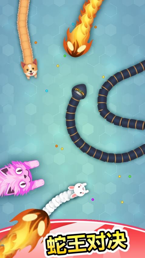 迷你贪吃蛇3D正版