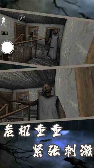 恐怖奶奶7单机版