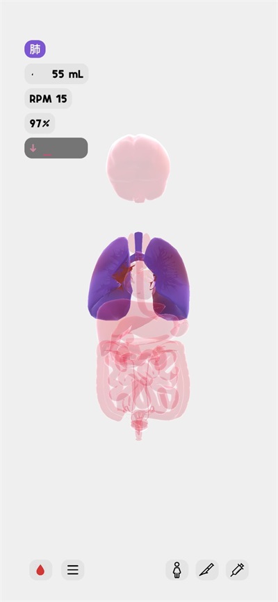 life生命模拟器官方正版