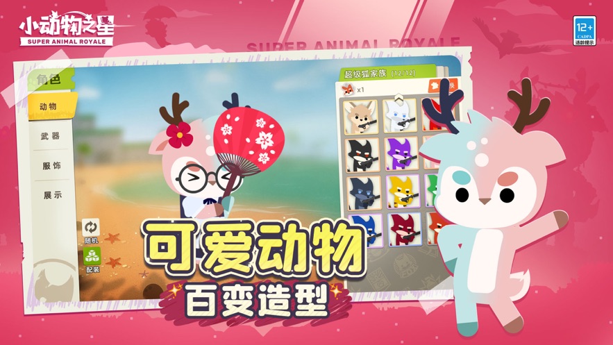 小动物之星国际服