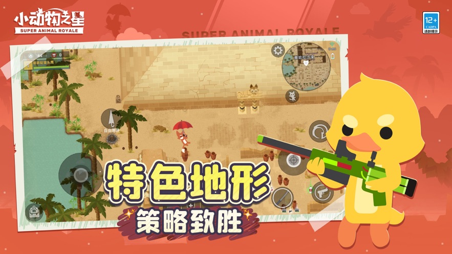 小动物之星国际服