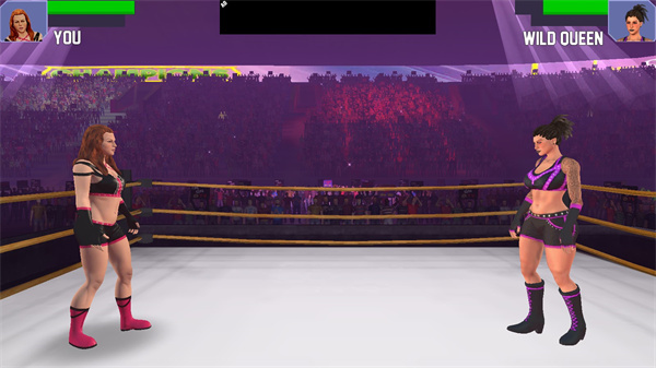 美女摔跤模拟器游戏