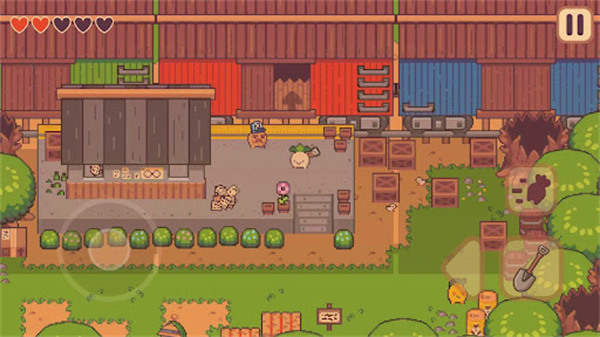 大头菜小子偷税记下载