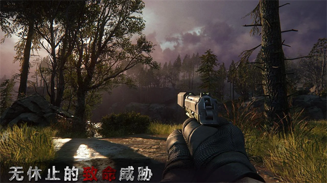 狙击精英枪王之王