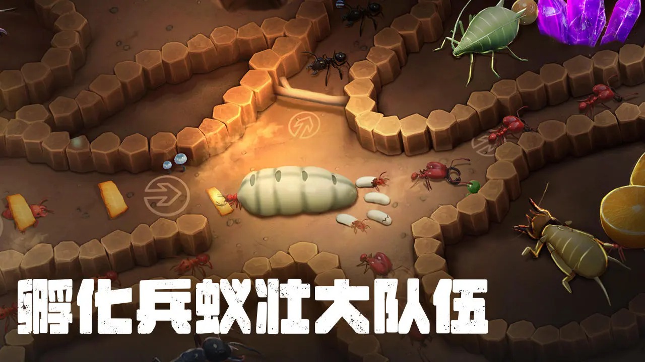 开局一只蚁