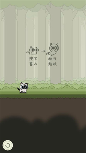 冒险猫