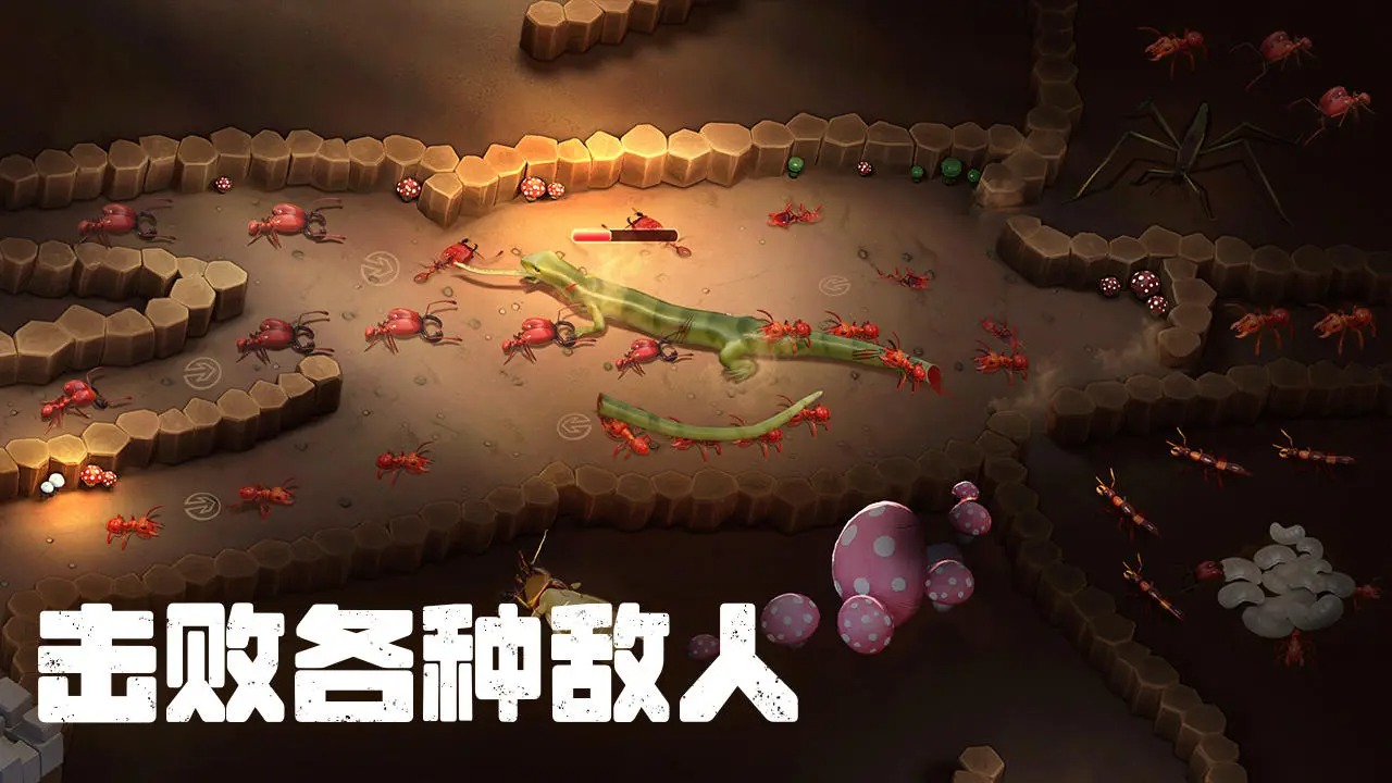 开局一只蚁