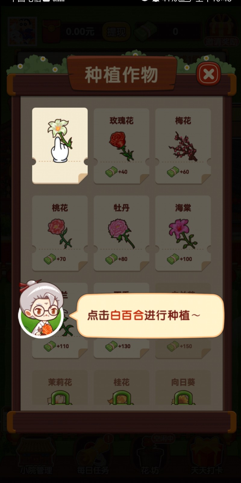 奶奶的小花圃
