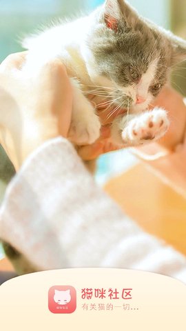 猫咪社区2.0官网免费 猫咪社区2.0官网免费