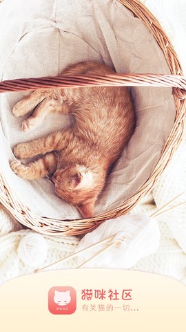 猫咪社区2.0官网免费