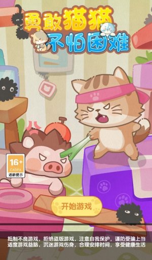 勇敢猫猫不怕困难 勇敢猫猫不怕困难
