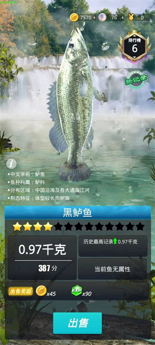 钓鱼